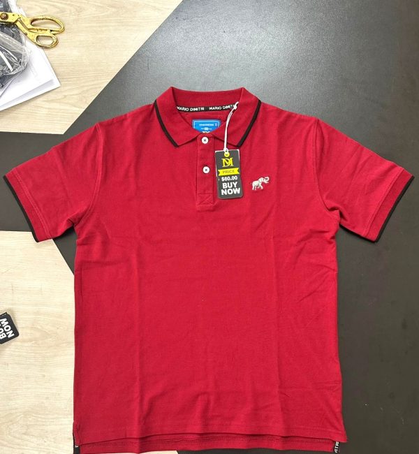 Polo-1 (3)