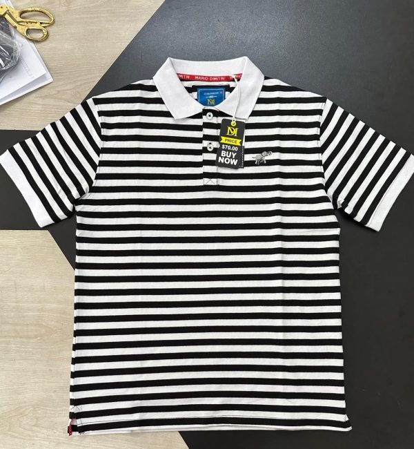 Polo-1 (4)