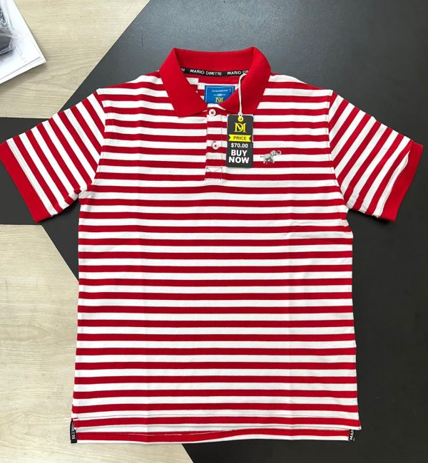 Polo-1 (5)